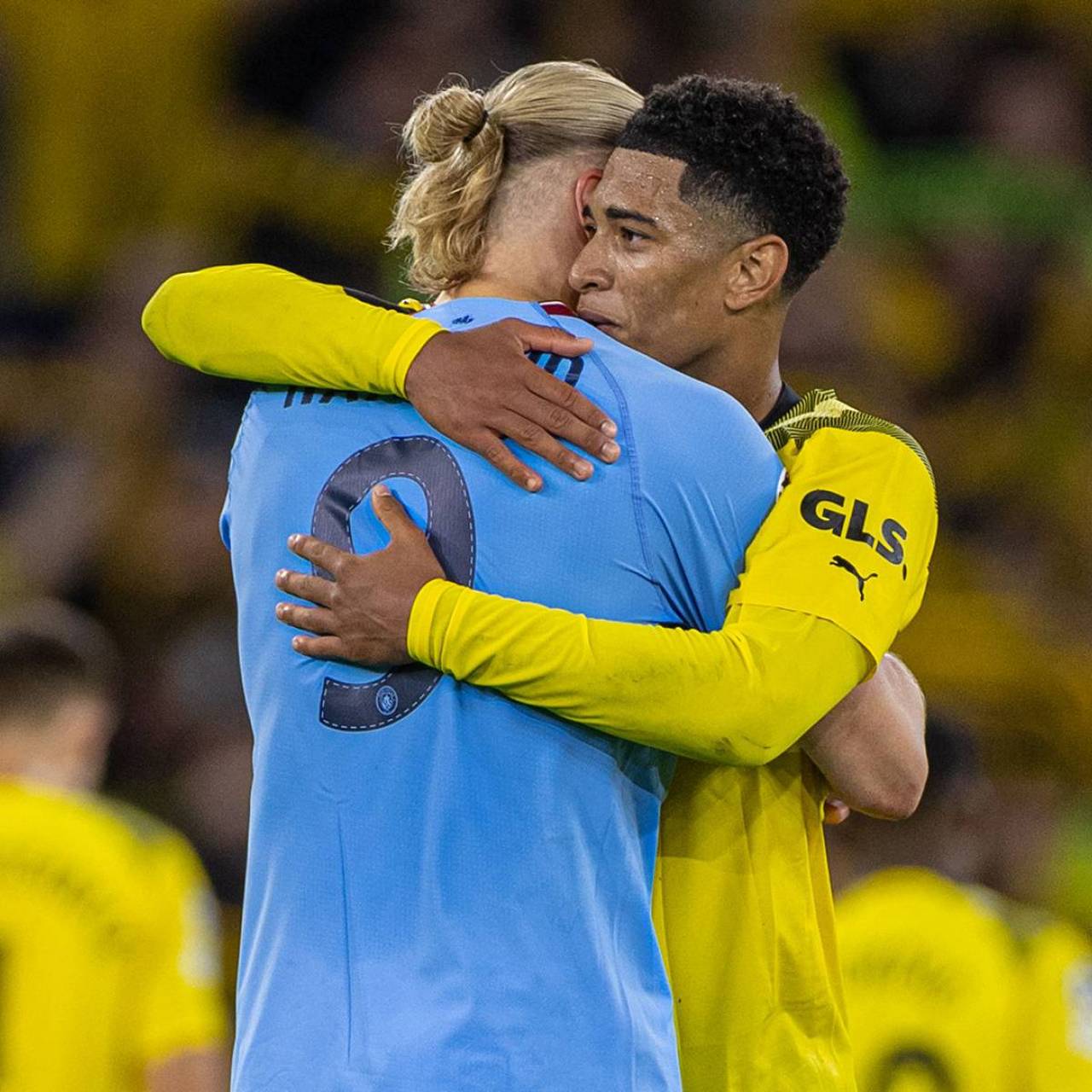 有惊无险，小麦和孔蒂所乘飞机警告灯误报导致飞机迫降（虚惊一场，小麦与孔蒂所乘航班因警报灯误报紧急降落）